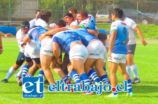 Los Halcones jugaran la Copa de Oro en el torneo de Apertura de la Asociación de Rugby de Santiago