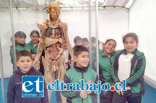 GRAN APRENDIZAJE.- Ellos son Tomás, Mauricio, Hellen y Escarlet, alumnos que ahora están en quinto básico en la escuela de Tierras Blancas.