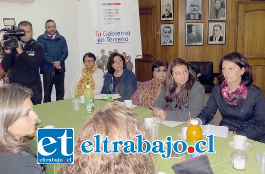 Los equipos sociales de Santa María tendrán la labor de iniciar este programa piloto enfocado en los adultos mayores, pero principalmente en los postrados.