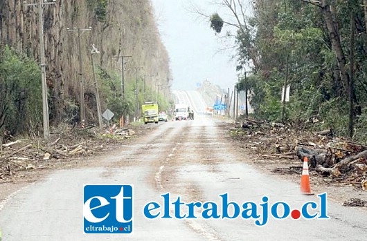 Nuevos cortes de tránsito por tala de árboles en el sector de Panquehue, pondrán a prueba la paciencia de los aconcagüinos ante dos noticias que no agradan.