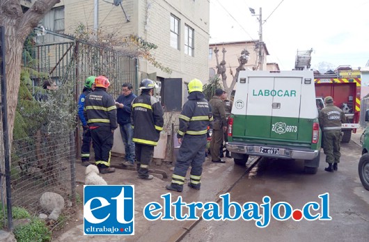 Inicialmente se informó que el siniestro habría sido intencional, por lo que, en la mañana concurrió personal especializado del Labocar de Carabineros para realizar las pericias correspondientes.