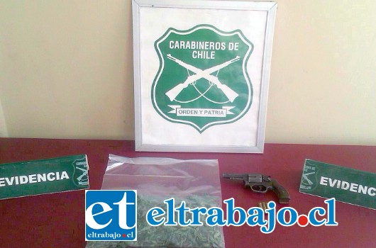 Carabineros detuvo a los actuales sentenciados en el calle Tacna Norte de San Felipe portando este revolver, municiones y una planta de cannabis sativa.