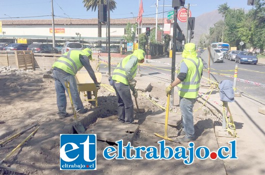 La última etapa del proyecto de cambio de veredas, comenzó a ejecutarse hace unos días en la avenida Yungay, correspondiente al tramo entre Bernardo Cruz y Miraflores.