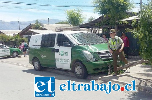 El furgón de Carabineros se estrelló contra un árbol, arrancándolo de raíz.