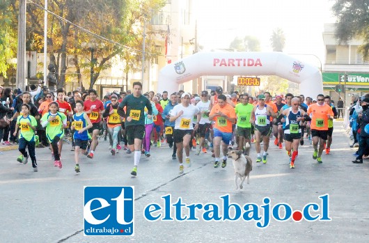 Este domingo, se realizará una nueva versión de la Corrida San Felipe 2016, la última de este año y que organiza el Departamento de Deportes del municipio, junto a la Mesa de Promoción de la Salud y el Injuv, con categorías de 1K, 3K, 6K y 9K.