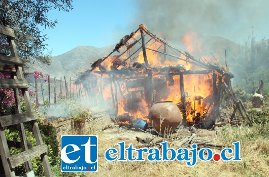 El viento empeoró la situación, ya que rápidamente las llamas comenzaron dispersarse por todo el inmueble, reduciendo a cenizas la estructura donde se guardaban materiales agrícolas. (Foto de Patricio Gallardo).