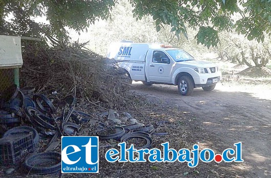 El Servicio Médico Legal levantó el cuerpo del malogrado trabajador, en el fundo ubicado en el sector Las Palmas de Llay Llay la mañana de ayer miércoles, para la práctica de autopsia que confirme la causal de muerte.