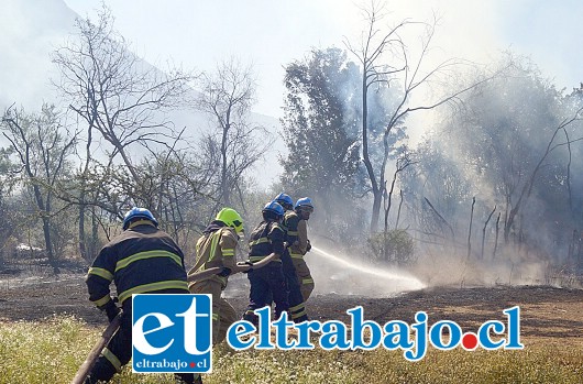 Bomberos debió entrar de infantería para combatir el fuego (Fotos Los Andes Online).