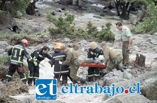 Personal de Bomberos y Carabineros en pleno rescate de los cuerpos de los infortunados hermanos Roberto Francisco y Juan José Bravo Cartagena. (Fotos Patricio Gallardo)