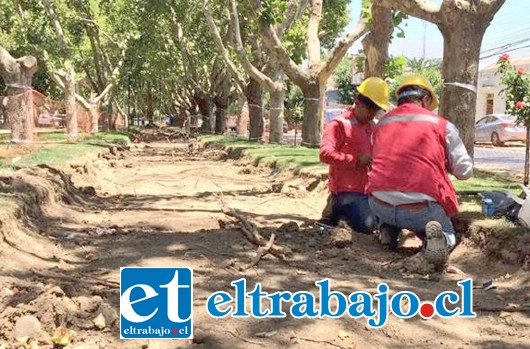 En las zonas a intervenir, se ejecutarán: pavimento de calzada de ciclovías, aceras, dispositivos de rodados (rampas para minusválidos), señalización, demarcación, mejoramiento de sistemas de aguas lluvias, biciestacionamientos, entre otras faenas.