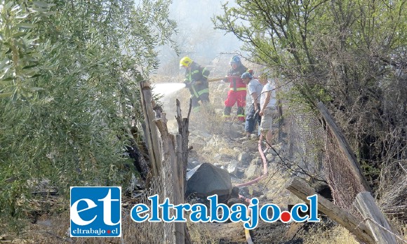 Personal de Bomberos de Santa María, trabajaron arduamente para detener el fuego, resultando uno de ellos asfixiado por la inhalación de humo, siendo atendido en el servicio de urgencias.