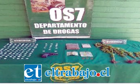 Personal del OS7 de Carabineros Aconcagua efectuó el allanamiento en la vivienda de la condenada, incautando pasta base, marihuana y plantas de cannabis sativa.