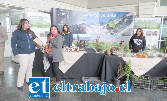 Tal comoestaba anunciado, este martes fue inaugurado el Primer Mercado Campesino de la Provincia de Los Andes, una muestra de productos campesinos de la zona, artesanía, cactáceas además de una exposición de vestigios de antiguas culturas que habitaron el sector.