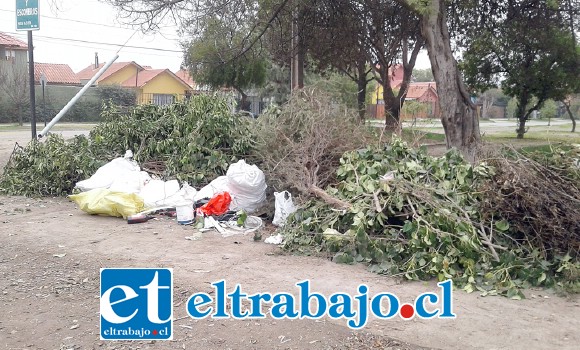 Este es el microbasural que denuncia el vecino, el cual está ubicado en la intersección de Avenida Yungay con Hermanos Carrera.