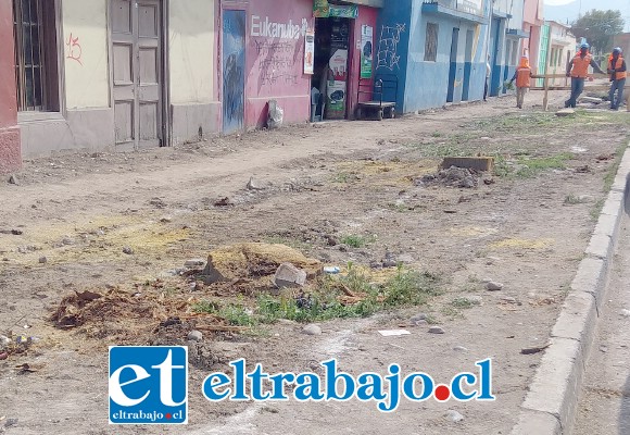 Una imagen que ha causado bastante malestar es esta en la que se aprecian los grandes árboles que fueron arrancados para la construcción de ciclovías en Av. Maipú. Serviu explicó las razones que respaldaron esa decisión.