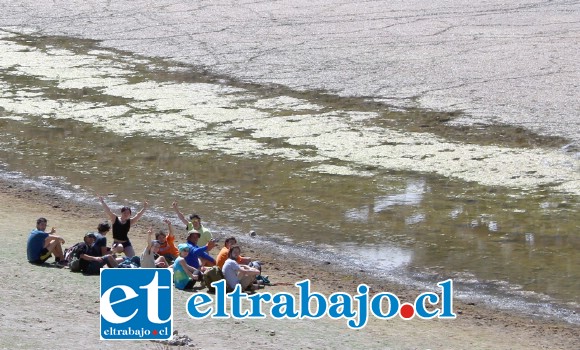 MAGESTUOSA DEL COPÍN.- Esta familia completa descansó a la orilla de nuestra ancestral laguna cordillerana.