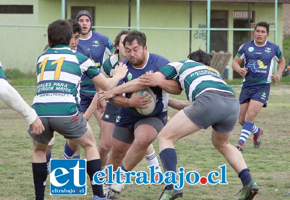 El quince aconcagüino jugará la gran final de la Copa de Oro de la Asociación de Rugby de Santiago.