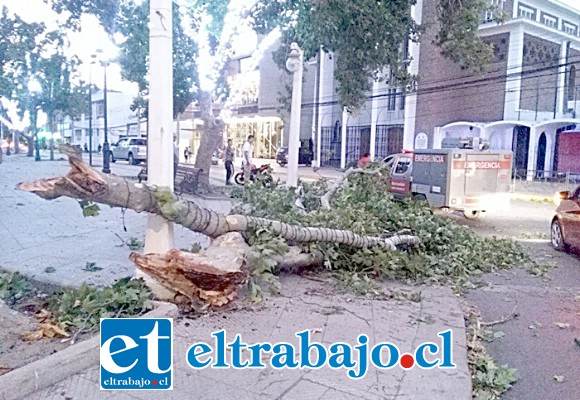 Estas ráfagas de viento que superaron los 50 kilómetros por hora, afectaron a las comunas de la provincia de Los Andes.