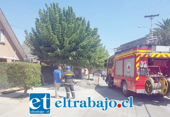 Personal de Bomberos logró controlar la emergencia registrada la tarde de ayer jueves en el Condominio Dalcahue en San Felipe.