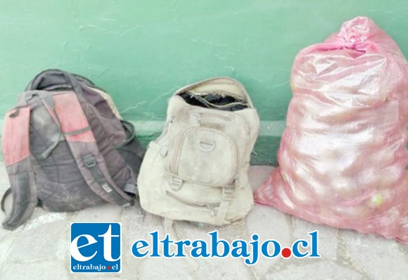 Carabineros recuperó un total de 65 kilos de paltas sustraídas por el actual sentenciado desde un domicilio de la comuna de Santa María.