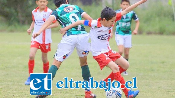 Unión San Felipe evaluará mañana a los niños de todo el valle de Aconcagua que quieran formar parte de sus series infantiles.