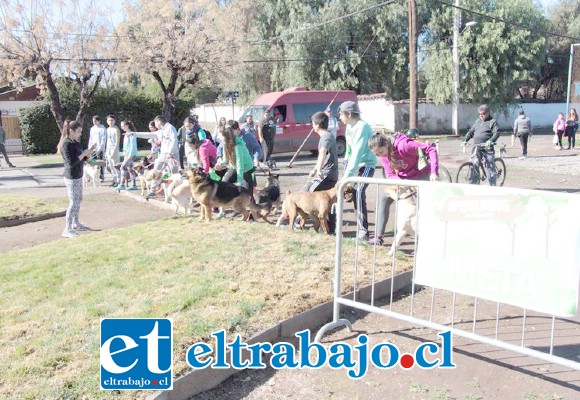 En ediciones pasadas la ‘Perruning’ ha resultado todo un éxito.