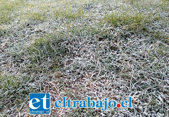 El pasto escarchado en una plazoleta de Villa El Canelo.