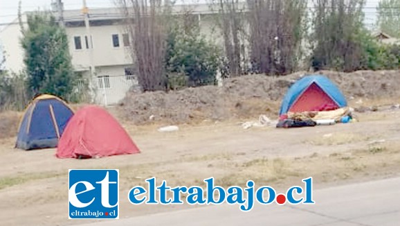 Estas son las carpas que aparecieron este martes en el sitio eriazo colindante a la Villa El Descanso. (Cedida)