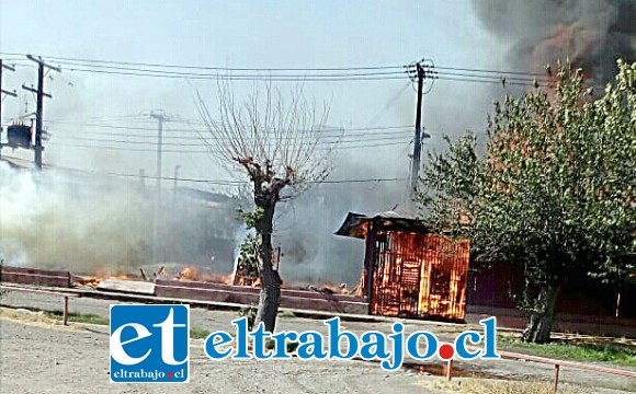 El fuego se desató la tarde de este viernes en el Estadio Fiscal de San Felipe.