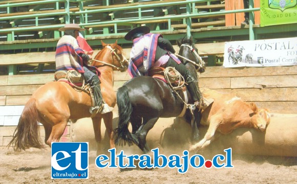 MADE IN SAN FELIPE.- En nuestra comuna la Asociación de Rodeo San Felipe de Aconcagua abriga a cinco clubes: Club de Huasos Santa María, Club San Francisco de Curimón, Club Manantiales de Jahuel, Club San Felipe y Club Bellavista.