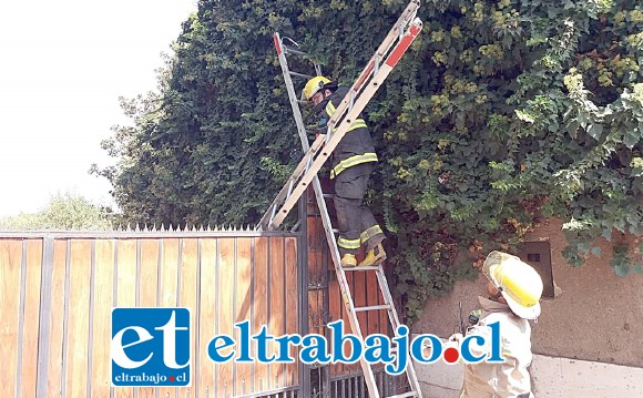 Noble y destacado gesto de Bomberos en concurrir al rescate de una adulta mayor que pidió ayuda tras quedar encerrada en su casa. (Fotografías: Emergencias Santa María).