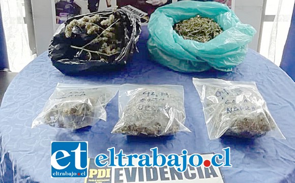 La Policía de Investigaciones de San Felipe incautó más de medio kilo de marihuana a granel desde un inmueble ubicado en la Villa Parque Alameda de esta comuna, siendo detenida una mujer de 62 años de edad quien quedó a disposición de la Fiscalía.