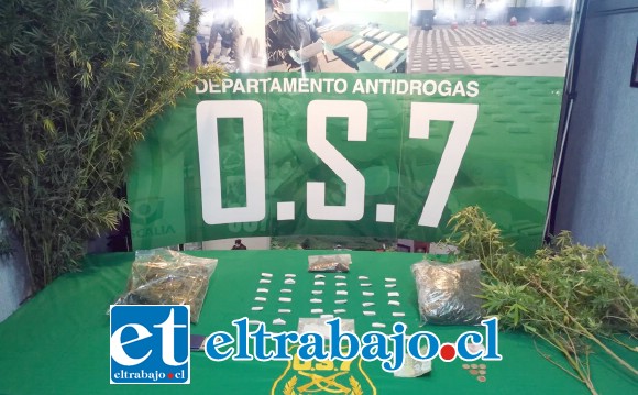 El 3 de abril de 2018 la sección OS7 de Carabineros incautó pasta base, marihuana en cogollos y plantas de cannabis sativa desde el domicilio del sentenciado en calle Comercio de Putaendo.