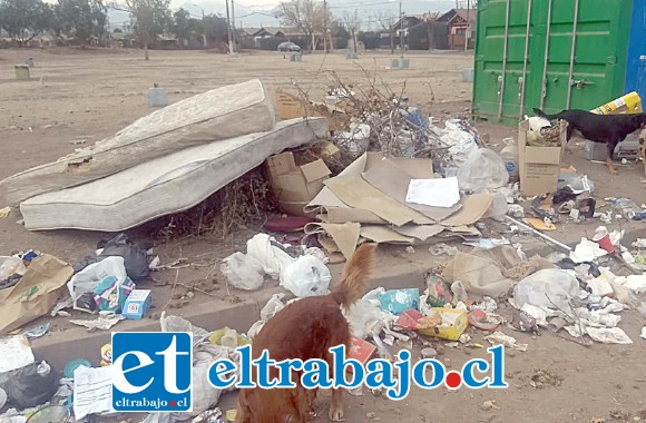 Acá podemos apreciar la gran cantidad de basura alrededor del contenedor del Punto Limpio, donde incluso se pueden ver hasta colchones.