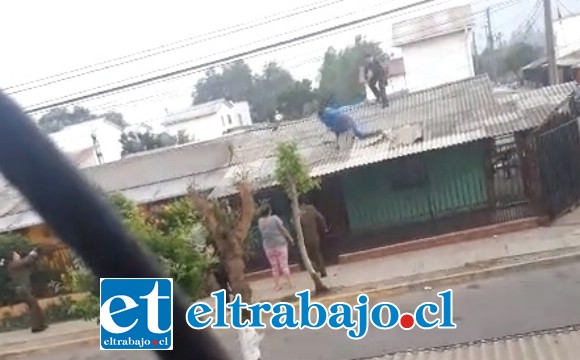 En la secuencia de imágenes se aprecia el momento registrado por testigos desde un teléfono celular, donde el antisocial cae desde la techumbre de la vivienda hasta ser reducido por personal de Carabineros de la subcomisaría de Llay Llay la mañana de este sábado.