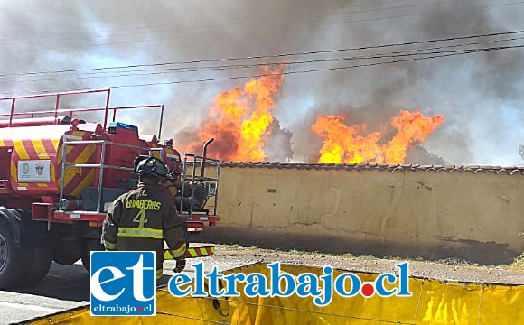 Un incendio de grandes proporciones se desató este martes en terrenos de la familia Lepe en Curimón.