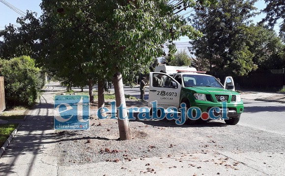 Personal del Labocar realizó diversas pericias en el inmueble, retirándose después del sitio el suceso.