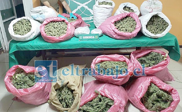 En total fueron 15 sacos de marihuana los decomisados por el OS7 de Carabineros, los que debido al difícil acceso al lugar debieron ser transportados en helicóptero.