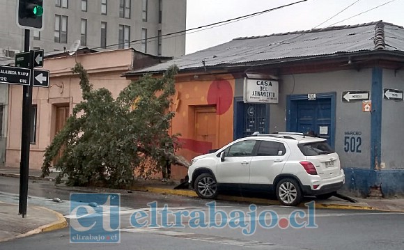 En calle Merced con Avenida Maipu, una SUV fuera de control terminó derribando un árbol.