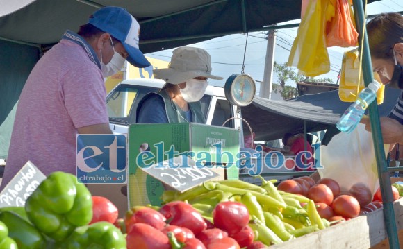 Según informó la Municipalidad, en las últimas dos semanas la Feria Diego de Almagro ha congregado a más de 16 mil personas.