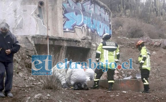 Personal del SAMU y de Bomberos trabajando en el lugar.