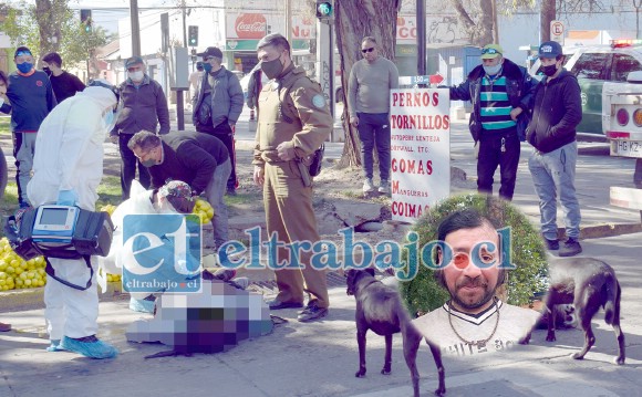 Personal del SAMU efectuando maniobras de reanimación, mientras son observados por los dos perros de la víctima que permanecieron a su lado hasta el final.