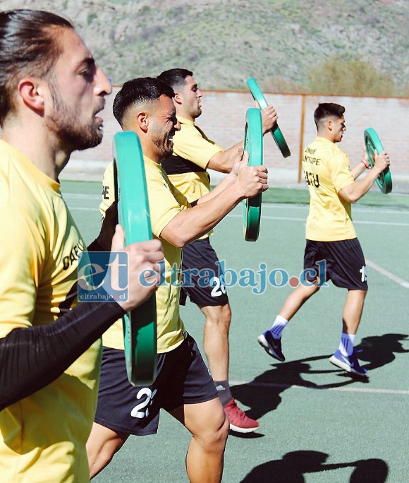 Parte del plantel realizando ejercicios de fuerza en uno de los entrenamientos en el complejo deportivo.