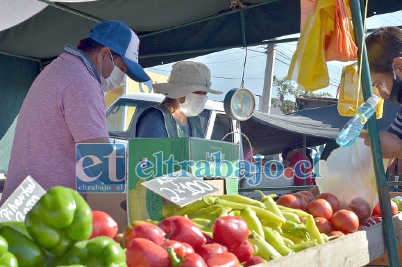 FERIA DIEGO DE ALMAGRO.- Algunas personas consideran altos los precios de los productos en esta feria sanfelipeña. (Archivo)