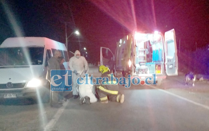 Personal de Bomberos, Samu, Carabineros en el lugar del accidente prestando auxilio a la mujer y su hijo. (Foto @putaendoinforma.com).