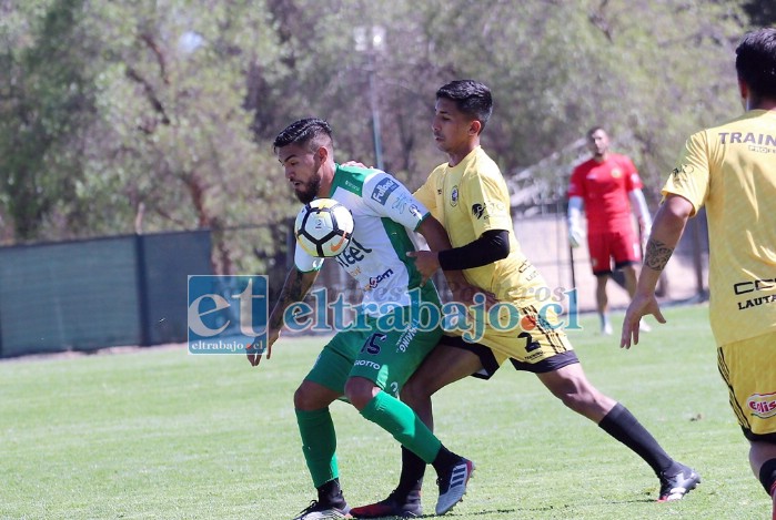 Trasandino será local en el estadio Municipal de San Felipe