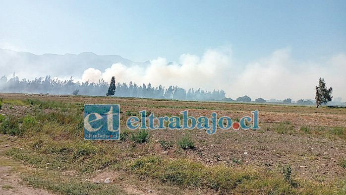 Mucho humo era lo que se podía apreciar a lo lejos del siniestro.