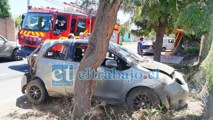 ÁRBOL SALVADOR.- Si el árbol no estuviera en ese lugar, posiblemente el auto habría dado muchas vueltas y la historia sería otra.