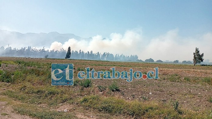 Este fue el incendio que nuevamente puso en el tapete la mala relación que hay entre Bomberos y Conaf.