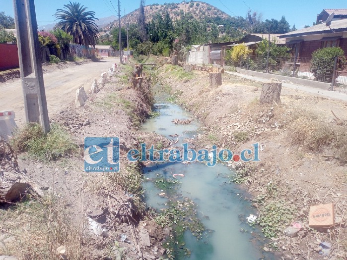 El depósito de aguas servidas en un canal de regadío está causando graves problemas a unas 400 familias de Catemu.